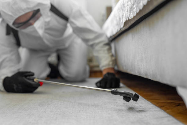 Professional Ant Control technician working in Polk County County, FL